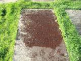 image of grave number 383545